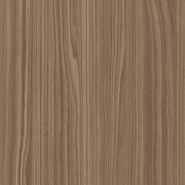 Волнистый американский орех 1019