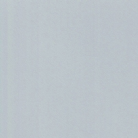 04300