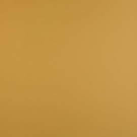 FENIX_0772_GIALLO_KASHMIR