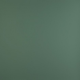 FENIX_0773_VERDE_BRAC